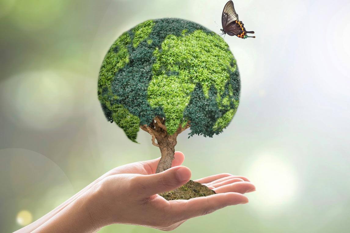 Featured image for “M&S, Boots, Mango and Pets at Home, Ikea focus on delivering a sustainable future”