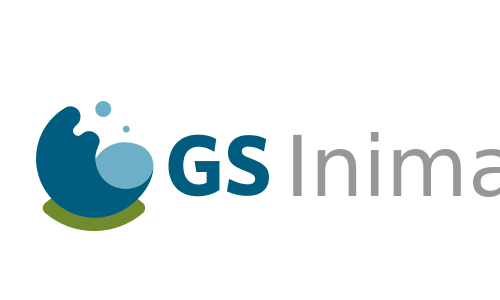 31_GS INIMA LOGO-01