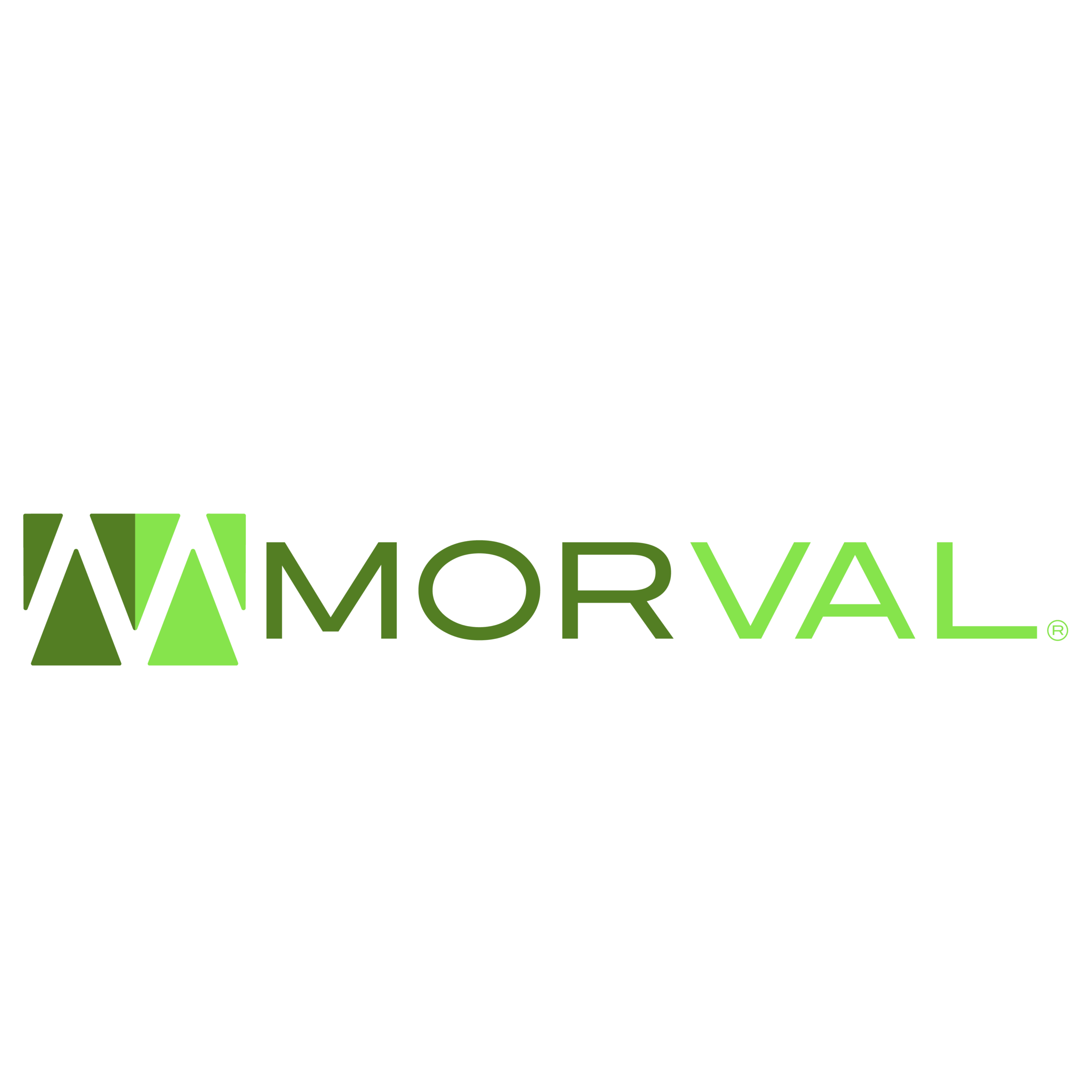 Aliado ALADYR: Morval Chile